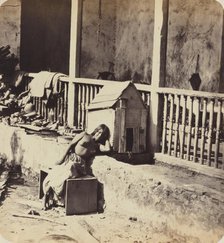 Chien de Garvel (Martinique), 1870s. Creator: Paul Emile Miot.