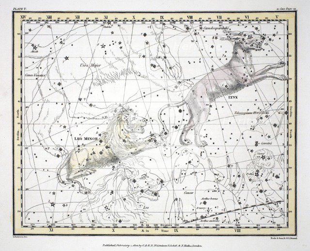 The Constellations (Plate V) Lynx, Leo Minor, 1822.