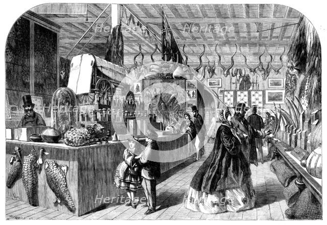 The International Exhibition - View in the Natal Court, 1862. Creator: Mason Jackson.