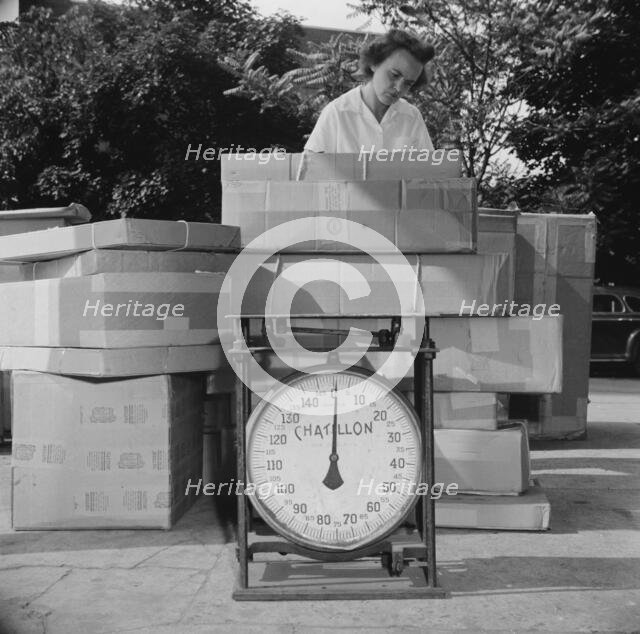 Mrs. Dorothy Bell, Irish-German descent, twenty-seven years old..., New Britain, Connecticut, 1943. Creator: Gordon Parks.