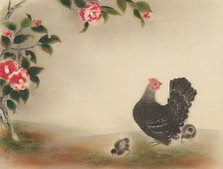 Camellias and chicks. Creator: Omoda, Seiju (1891-1933).