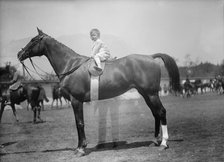 Horse Shows - Baby Vincent Mclean On 'Indian Flower', 1912. Creator: Harris & Ewing.