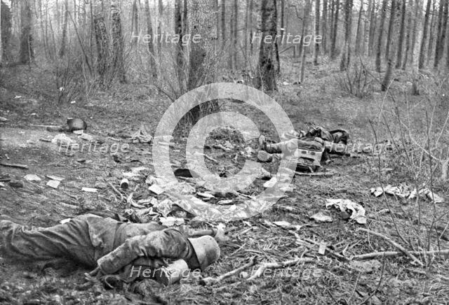 'Dans la Bataille; Une clairiere du parc du Plessis-de-Roye, apres le combat du 30 mars 1918', 1918. Creator: Unknown.