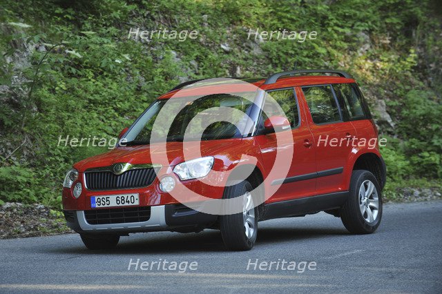 Skoda Yeti 2009. Artist: Simon Clay.