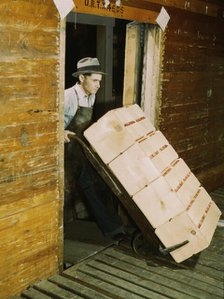 Loading oranges into refrigerator car at a co-op orange packing plant, 1943. Creator: Jack Delano.