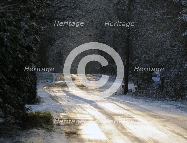 Sun glinting off an icy road in the New Forest 2009 Artist: Unknown.