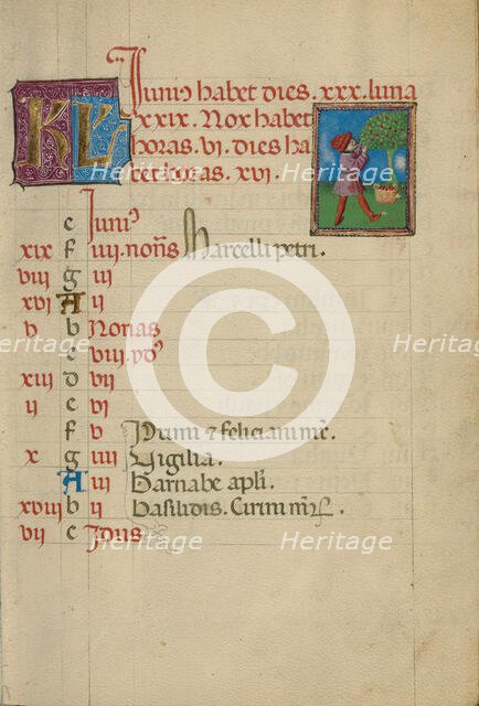 June Calendar Page; Gathering Fruit; Book of Hours, about 1460. Creator: Unknown.