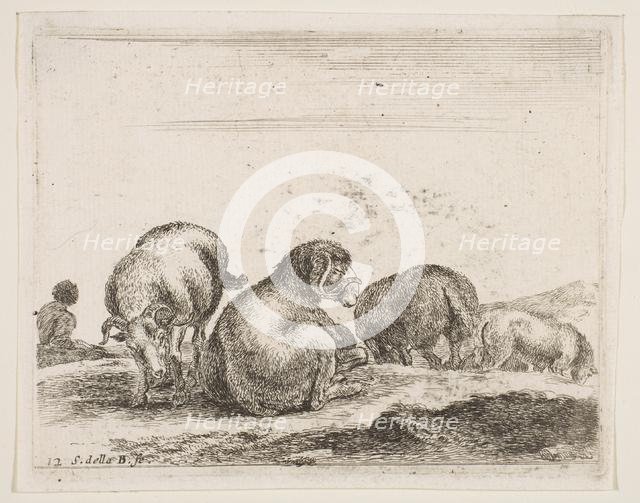 Plate 12: sheep and ram in a pasture, from 'Various animals' (Diversi animali), ca. 1641. Creator: Stefano della Bella.