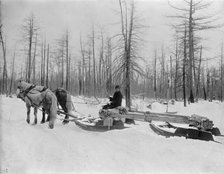 Logging in Michigan, the sled, between 1880 and 1899. Creator: Unknown.