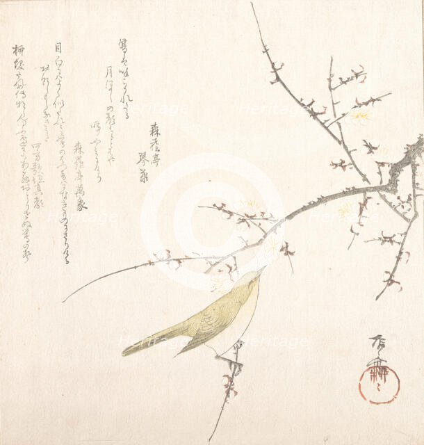 New Moon; Nightingale on a Plum Branch, 19th century., 19th century. Creator: Shinsai.