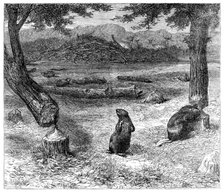 Beavers cutting down trees, 1862. Creator: Unknown.