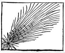 Comet of 684 (Halley), 1493. Artist: Unknown