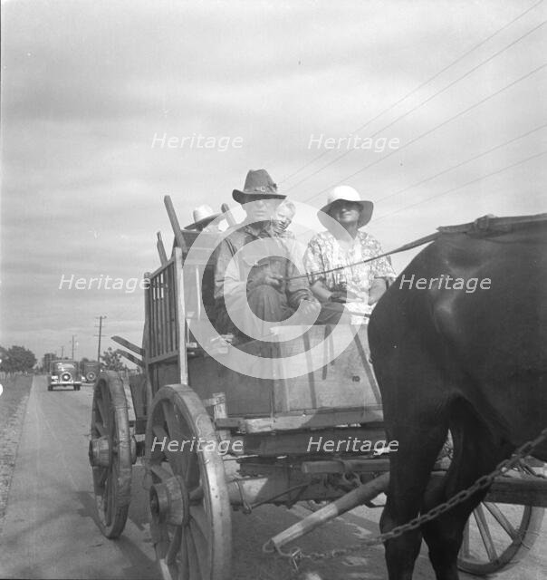 Moving day on the Delta cotton lands, Arkansas, 1936. Creator: Dorothea Lange.