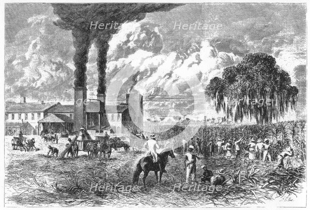 Sugar Plantation, New Orleans, 1870.Artist: A R Ward
