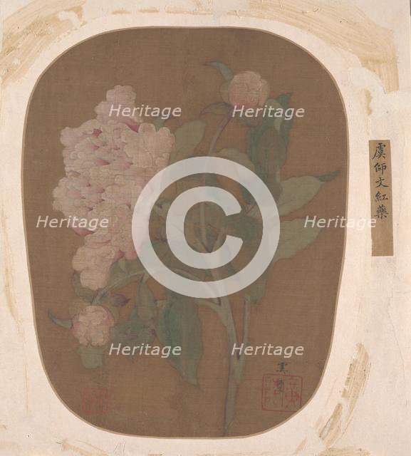 Peony Flower and Leaves. Creator: Unknown.