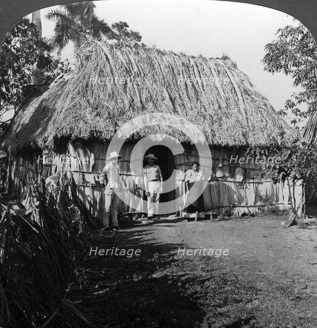 A home in the interior of the island of Cuba.Artist: HC White