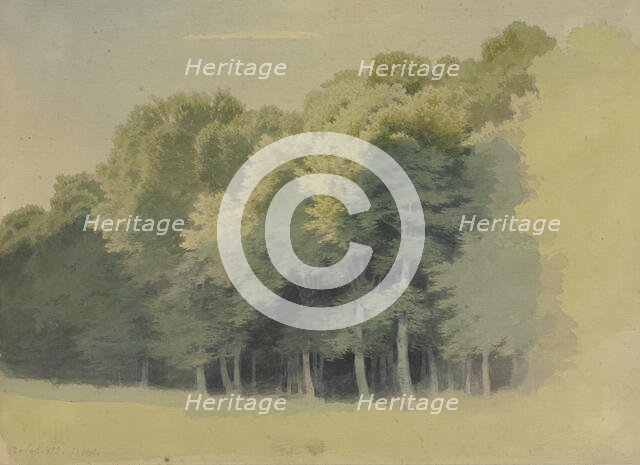 Edge of a wood, 1855. Creator: Carl Theodor Reiffenstein.