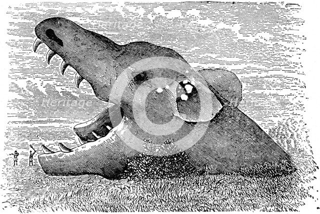 The wolf Fenris of Scandinavian mythology, 19th century. Artist: Unknown