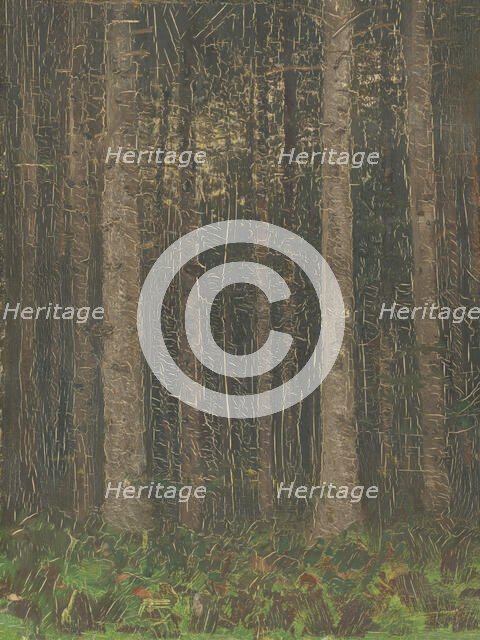 Forest Interior, 1880-1885. Creator: Ladislav Mednyanszky.