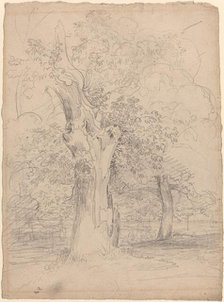 An Ancient Tree with Figures in a Landscape, c. 1835. Creator: Friedrich Salathe.