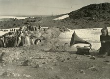'Penguins listening to the Gramophone during the summer', 1908, (1909). Artist: Unknown.
