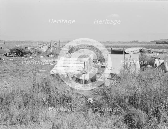 Potato pickers' camp, Tulelake, Siskiyou County, California, 1939. Creator: Dorothea Lange.