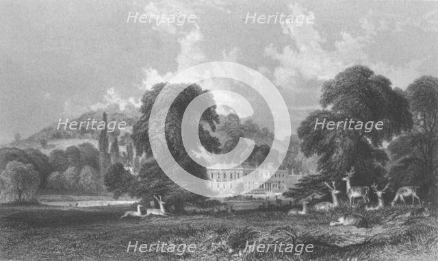 'Wonersh Park', c1845. Creator: E Radclyffe.