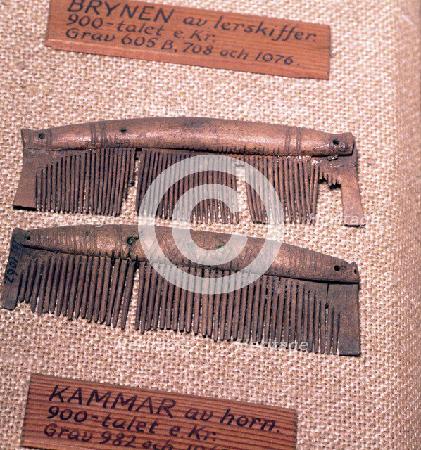 Bone comes from Graves of the Viking Period, Sweden, 8th- mid-11th century. Artist: Unknown.