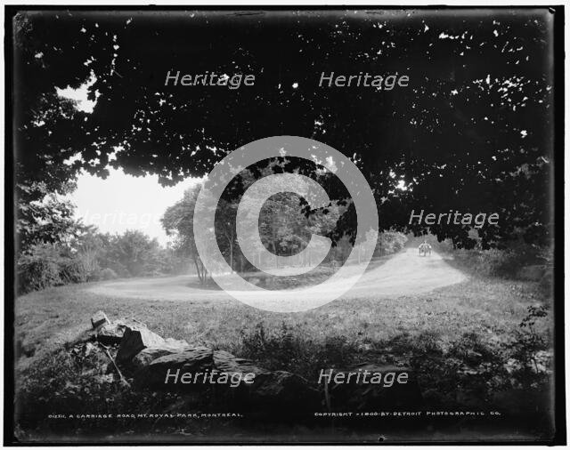 A carriage road, Mt. Royal Park, Montreal, c1900. Creator: William H. Jackson.