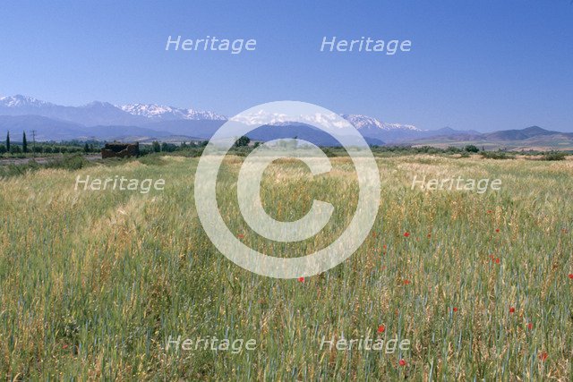 High Atlas Mountains from near Marakesh, Morocco. 