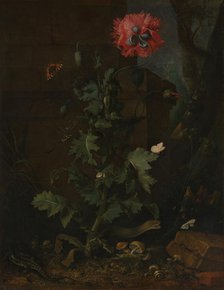 Still Life with Poppy, Insects, and Reptiles, ca. 1670. Creator: Otto Marseus van Schrieck.