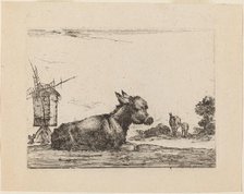 Donkey Resting, 1642. Creator: Stefano della Bella.