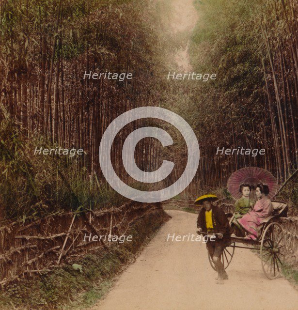 'Bamboo Avenue, Kyoto, Japan', 1896. Artist: Unknown.