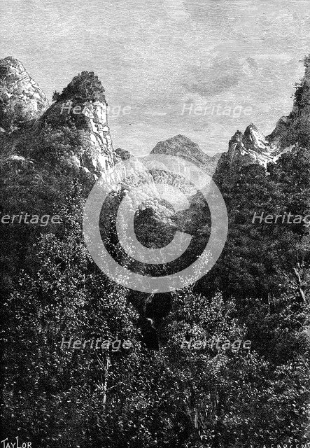 Madeira, Portugal, 1895.Artist: Taylor