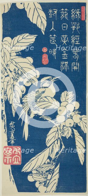 Loquat and bird, c. 1830/44. Creator: Ando Hiroshige.