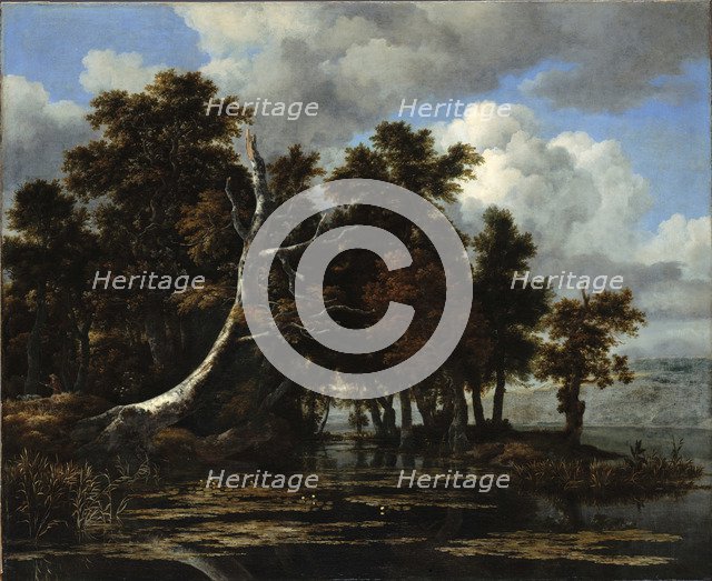 Oaks at a lake with Water Lilies. Artist: Ruisdael, Jacob Isaacksz, van (1628/29-1682)