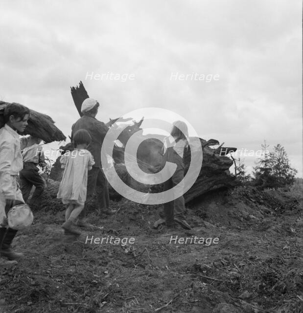Possibly: Mrs. Arnold and her children before the stump pile, Michigan Hill, Washington, 1939. Creator: Dorothea Lange.