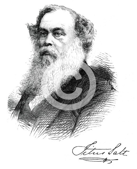 Sir Titus Salt, British manufacturer and benefactor, c1880. Artist: Unknown