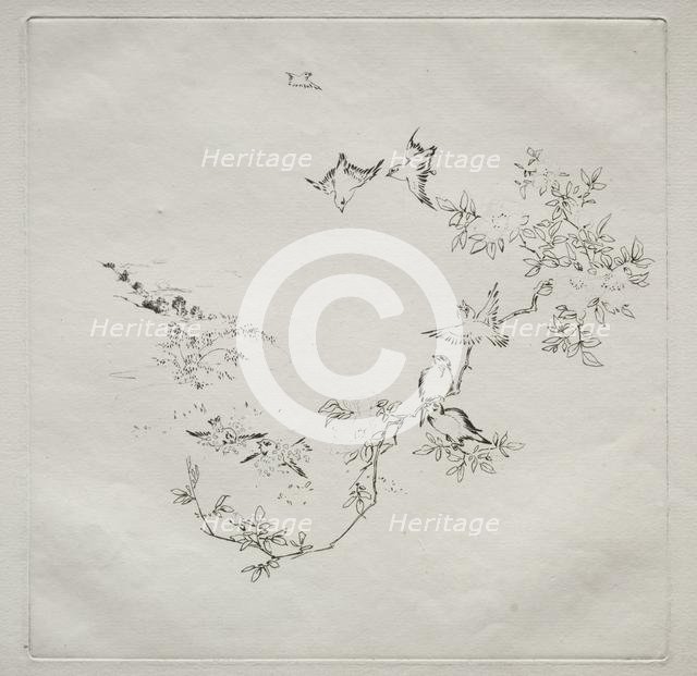 Parisian Service (Haviland service): Sunrise (no. 12), 1875. Creator: Félix Bracquemond (French, 1833-1914).