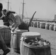 Packing fish in barrels at the Fulton fish market, New York, 1943. Creator: Gordon Parks.