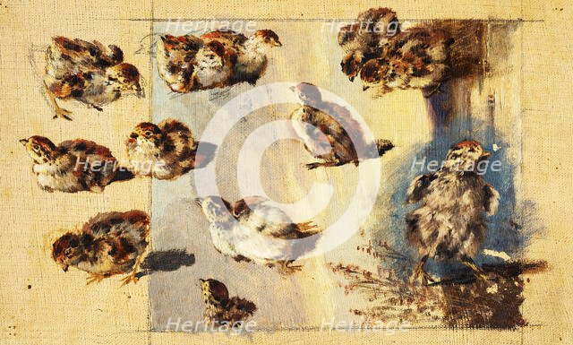 Study of Chicks, 1840-1850. Creator: Friedrich Carl von Scheidlin.