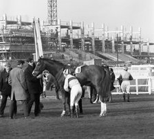 Racehorse and jockey in front of Doncaster Racecourse grandstand, South Yorkshire, 1969. Artist: Michael Walters