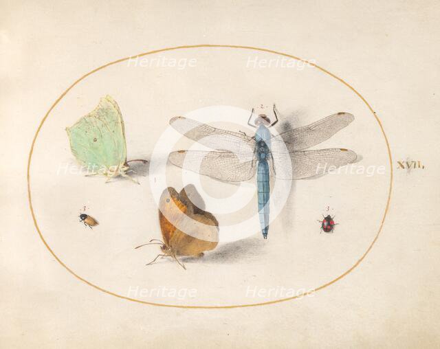 Plate 17: Two Butterflies, a Dragonfly, and Two Small Insects, c. 1575/1580. Creator: Joris Hoefnagel.