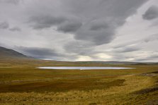 Pond, Iceland. Creator: Tom Artin.