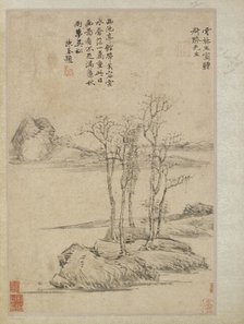 Five trees on a rocky promontory, Qing dynasty, 17th-18th century. Creator: Unknown.