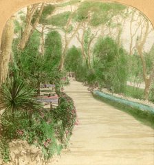 'Promenade, Alameda Garden, Rock of Gibraltar', 1896. Creator: Keystone View Company.