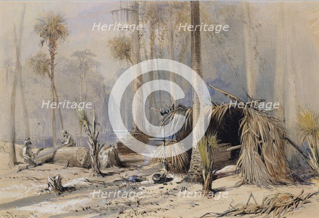 The Cypress-Shingle Yard, Ocklawaha River, Florida, 1870. Creator: Harry Fenn.