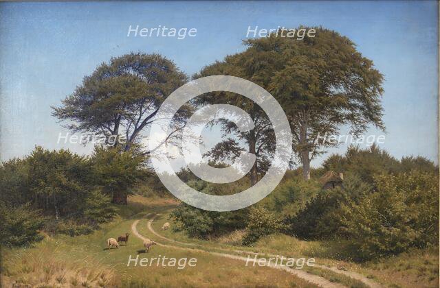 Færgelunden, near Jægerspris, 1848. Creator: Frederik Carl Julius Kraft.