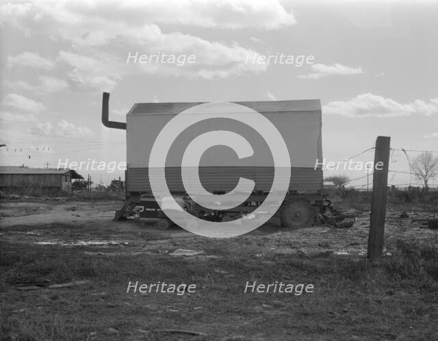 Dust bowl refugees living in camps in California, 1936. Creator: Dorothea Lange.