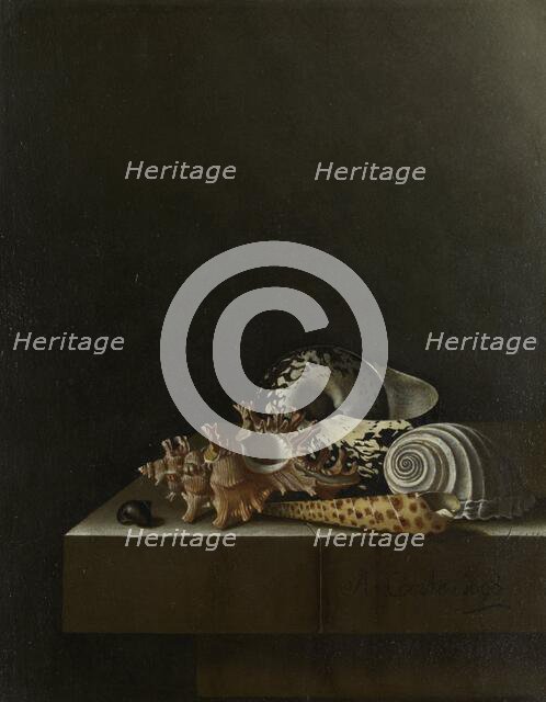 Shells on a Stone Plinth, 1698. Creator: Adriaen Coorte.